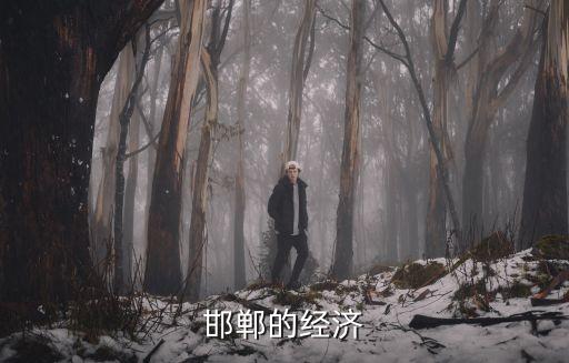 邯鄲的經(jīng)濟