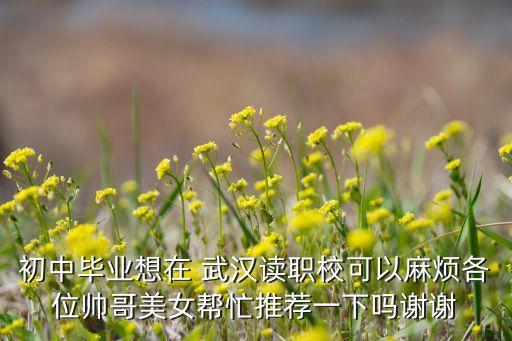 初中畢業(yè)想在 武漢讀職?？梢月闊└魑粠浉缑琅畮兔ν扑]一下嗎謝謝