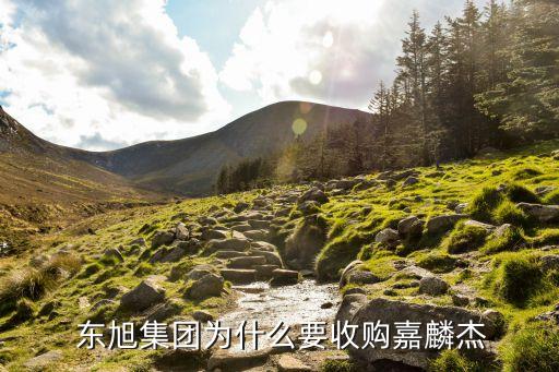  東旭集團為什么要收購嘉麟杰