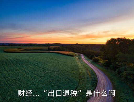 財(cái)經(jīng)…“出口退稅”是什么啊