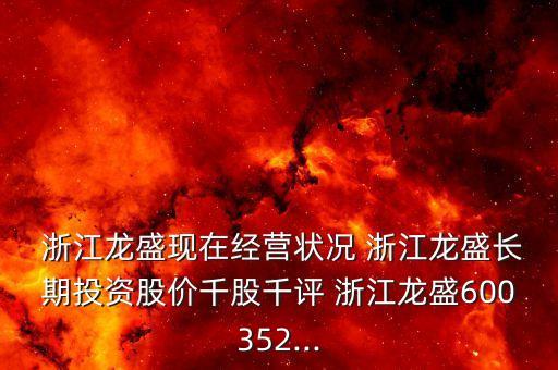 浙江龍盛購閏土股份有限公司