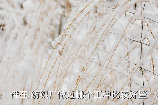 誰在 紡織廠做過哪個(gè)工種比較好些