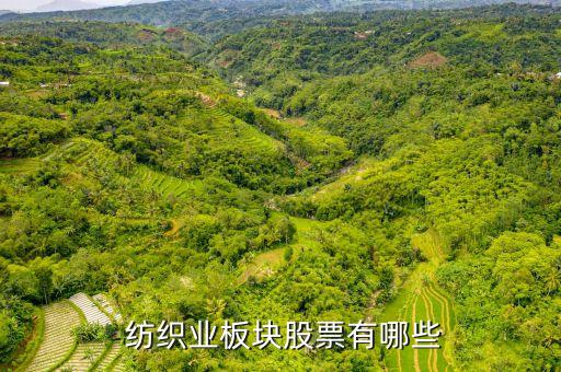  紡織業(yè)板塊股票有哪些
