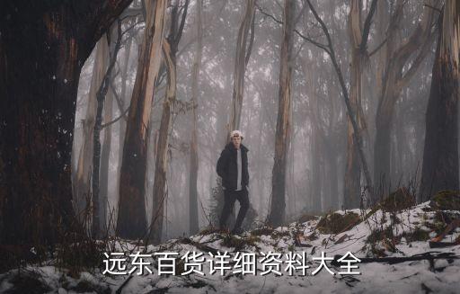  遠(yuǎn)東百貨詳細(xì)資料大全