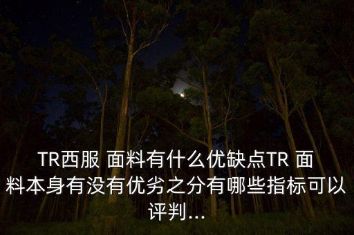 TR西服 面料有什么優(yōu)缺點TR 面料本身有沒有優(yōu)劣之分有哪些指標(biāo)可以評判...
