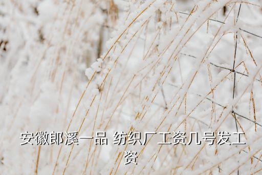  安徽郎溪一品 紡織廠工資幾號發(fā)工資