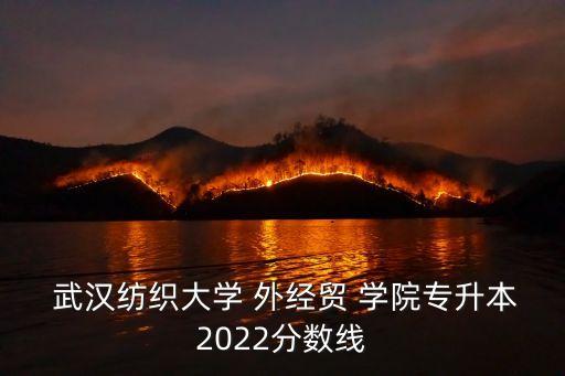  武漢紡織大學 外經(jīng)貿(mào) 學院專升本2022分數(shù)線
