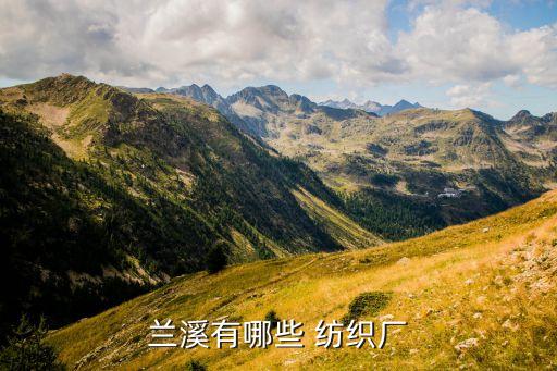 蘭溪有哪些 紡織廠