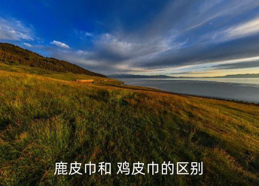 鹿皮巾和 雞皮巾的區(qū)別