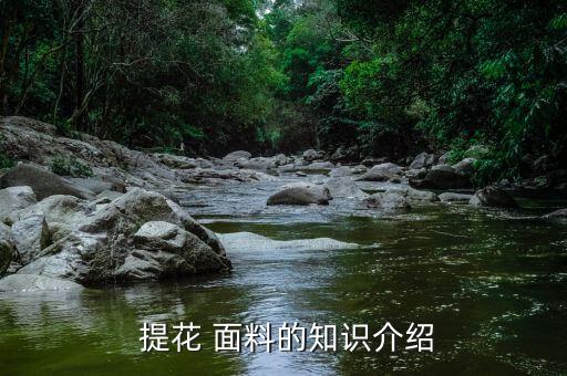 孚日大提花面料