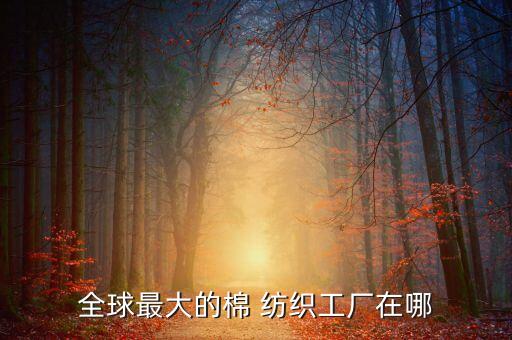 山東魏橋紡織股份有限公司