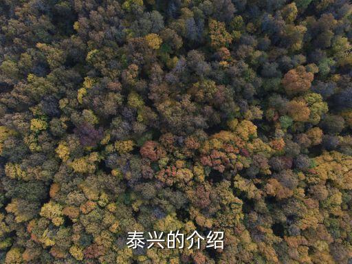 泰興的介紹