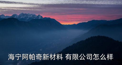 海寧阿帕奇新材料 有限公司怎么樣