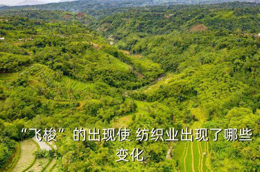 “飛梭”的出現(xiàn)使 紡織業(yè)出現(xiàn)了哪些變化