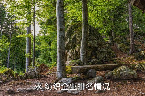 新疆睿盛紡織有限公司怎么樣