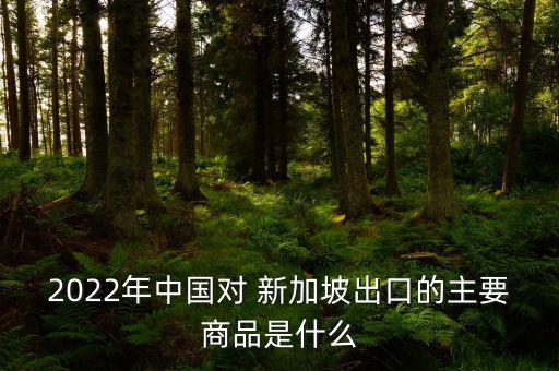 2022年中國(guó)對(duì) 新加坡出口的主要商品是什么