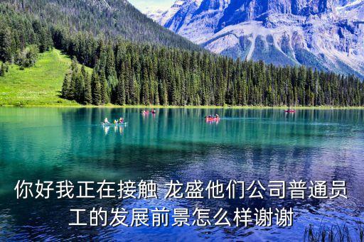 你好我正在接觸 龍盛他們公司普通員工的發(fā)展前景怎么樣謝謝