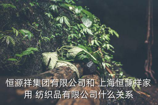 恒源祥集團(tuán)有限公司和 上海恒源祥家用 紡織品有限公司什么關(guān)系