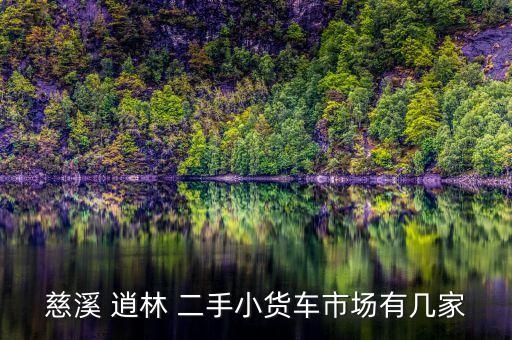 慈溪 逍林 二手小貨車市場(chǎng)有幾家