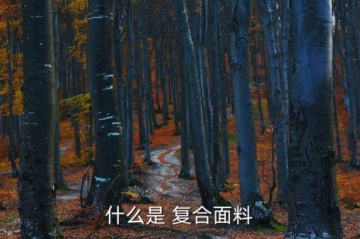 什么是 復(fù)合面料