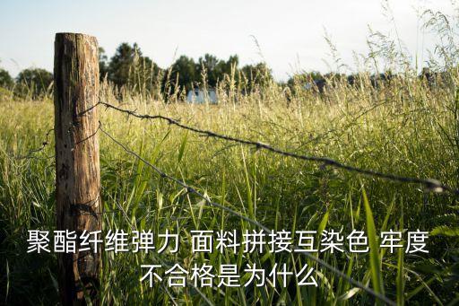 聚酯纖維彈力 面料拼接互染色 牢度不合格是為什么