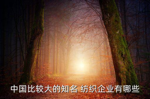 中國比較大的知名 紡織企業(yè)有哪些