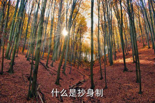 什么是抄身制