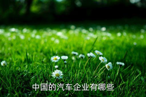 中國的汽車企業(yè)有哪些