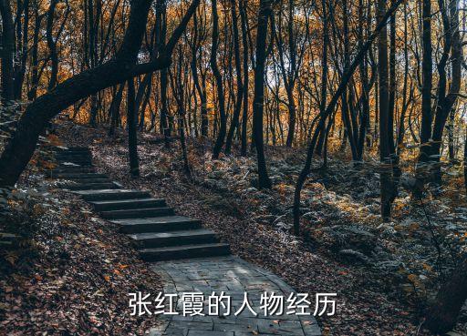 張紅霞的人物經(jīng)歷