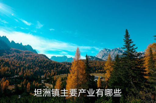 坦洲鎮(zhèn)主要產(chǎn)業(yè)有哪些