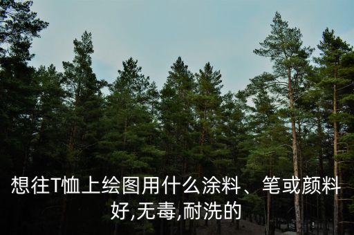 想往T恤上繪圖用什么涂料、筆或顏料好,無毒,耐洗的