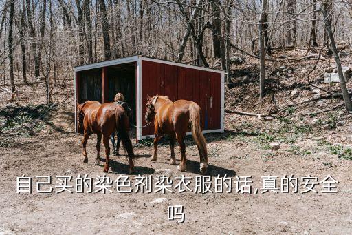 自己買的染色劑染衣服的話,真的安全嗎