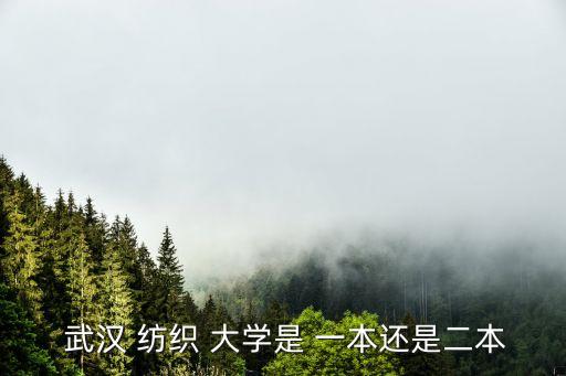 為何武漢紡織大學(xué)會(huì)升一本