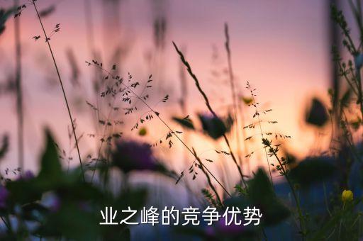 業(yè)之峰的競爭優(yōu)勢