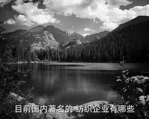 目前國內(nèi)著名的 紡織企業(yè)有哪些