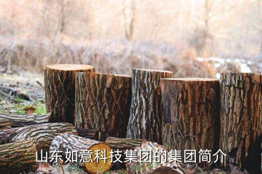 高新技術(shù)紡織及其,紡織工業(yè)是高新技術(shù)產(chǎn)業(yè)嗎