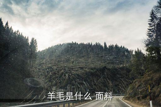江蘇省那生產(chǎn)服裝羊絨面料
