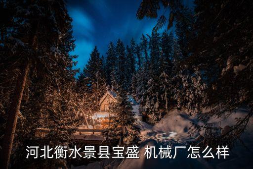  河北衡水景縣寶盛 機械廠怎么樣