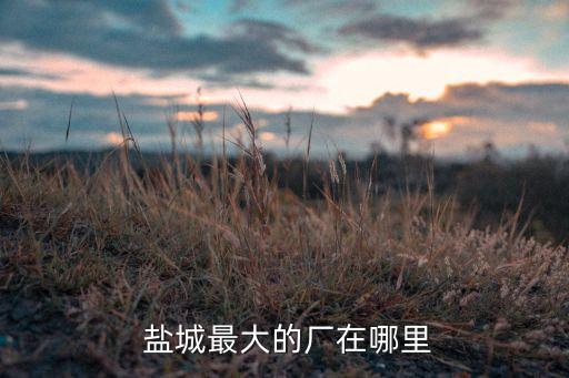  鹽城最大的廠在哪里