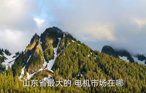 山東省最大的 電機市場在哪