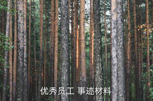 優(yōu)秀員工 事跡材料