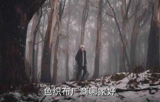 色織布廠商哪家好