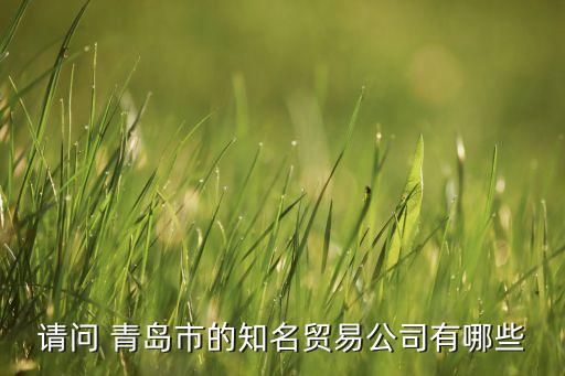 請問 青島市的知名貿(mào)易公司有哪些