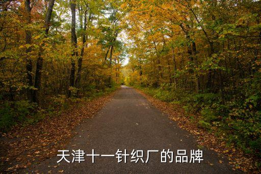 天津十一針織廠的品牌
