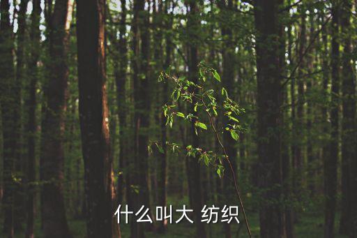 什么叫大 紡織