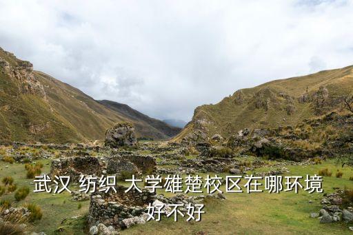  武漢 紡織 大學(xué)雄楚校區(qū)在哪環(huán)境好不好