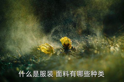 什么是服裝 面料有哪些種類