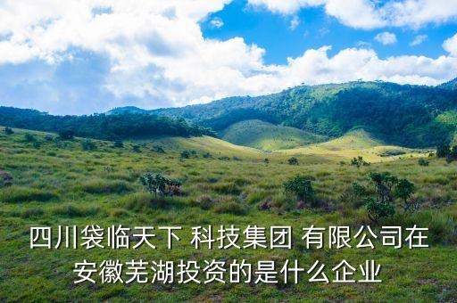 四川袋臨天下 科技集團(tuán) 有限公司在安徽蕪湖投資的是什么企業(yè)