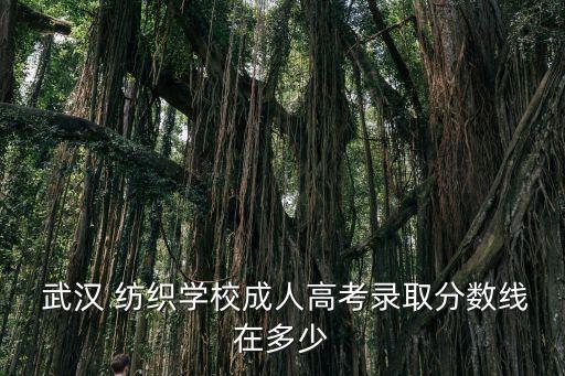 武漢紡織大學(xué)老師電話