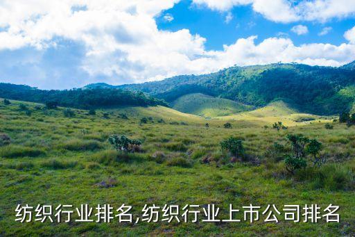 中國(guó)紡織行業(yè)排名,紡織行業(yè)上市公司排名